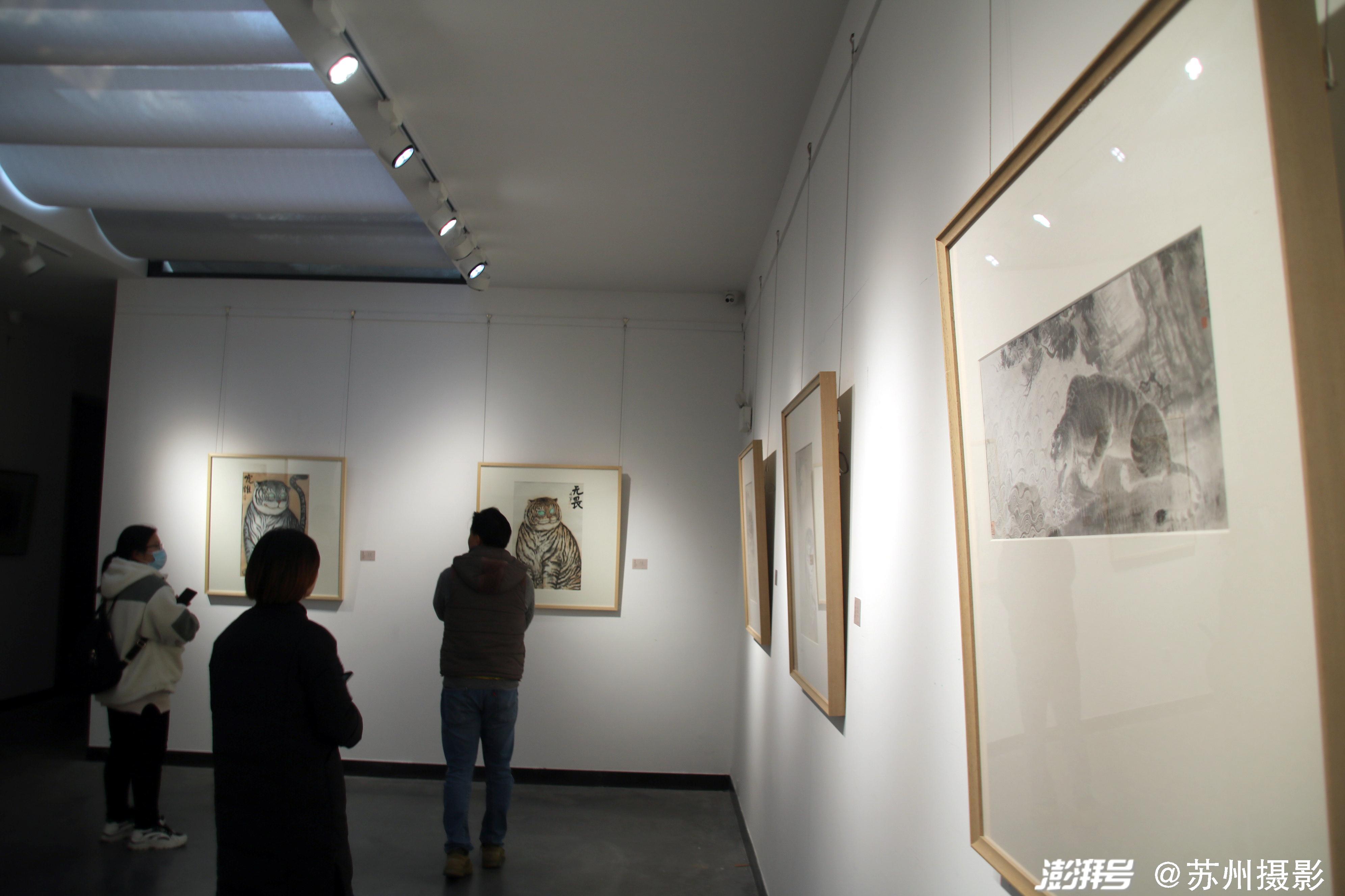 苏州美术馆展览2022图片