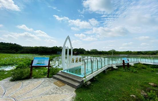 图集海口美兰区描绘自贸港秀美乡村之画卷