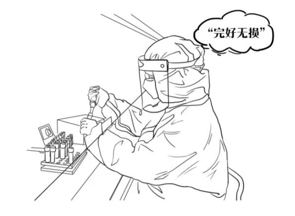 一份核酸检测报告是怎样诞生的