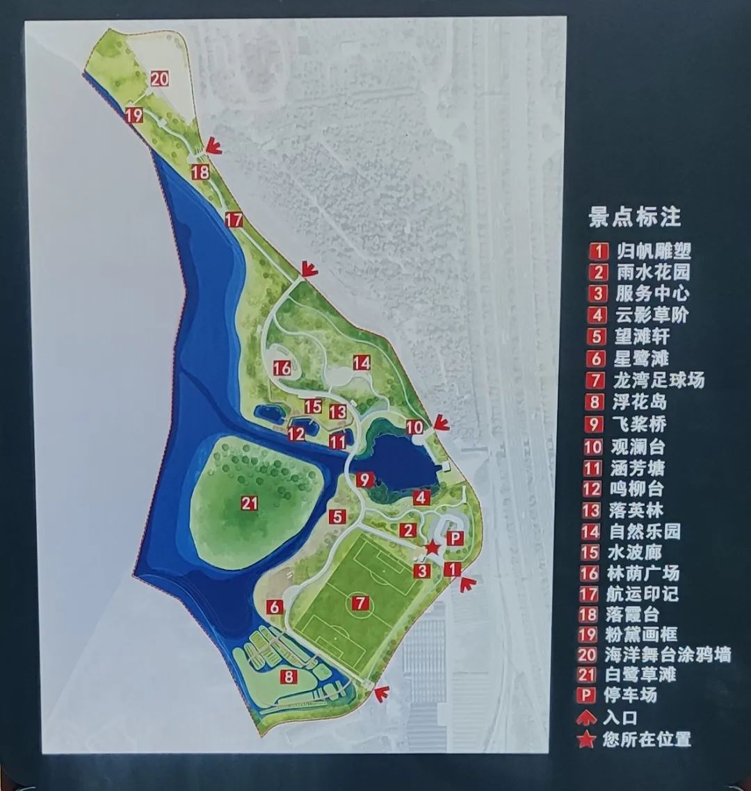观鹭天堂佛山这个全新湿地公园开放