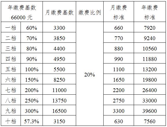 2020年社保缴费基数图片