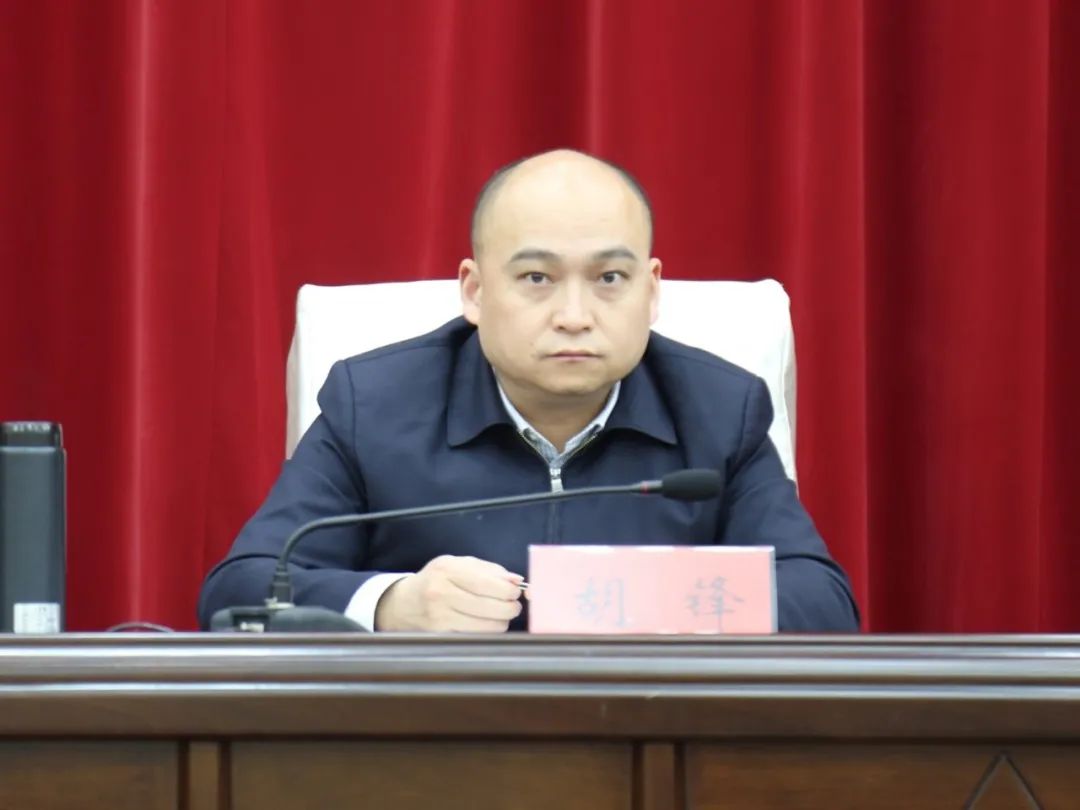 市妇儿工委副主任,市发改委主任胡锋传达国务院妇儿工委,省妇儿工委