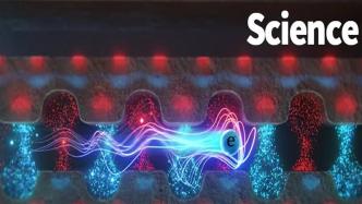 Science：自由电子探测光的量子本质