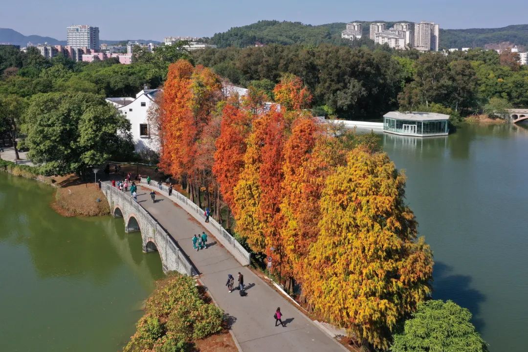 赠票天河科协带你打卡华南植物园