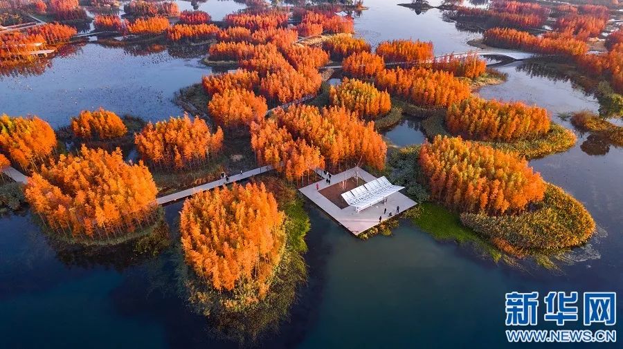 跟着央媒打卡南昌这些美景不容错过