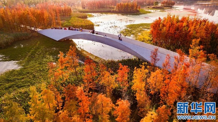 跟着央媒打卡南昌这些美景不容错过