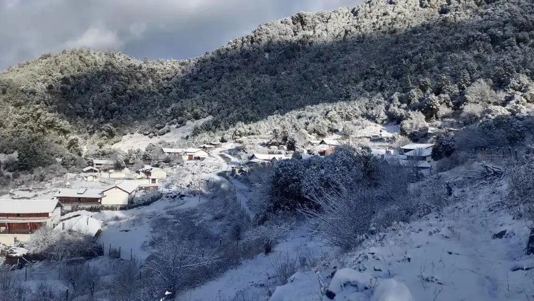 芒市苤菜坝下雪图片