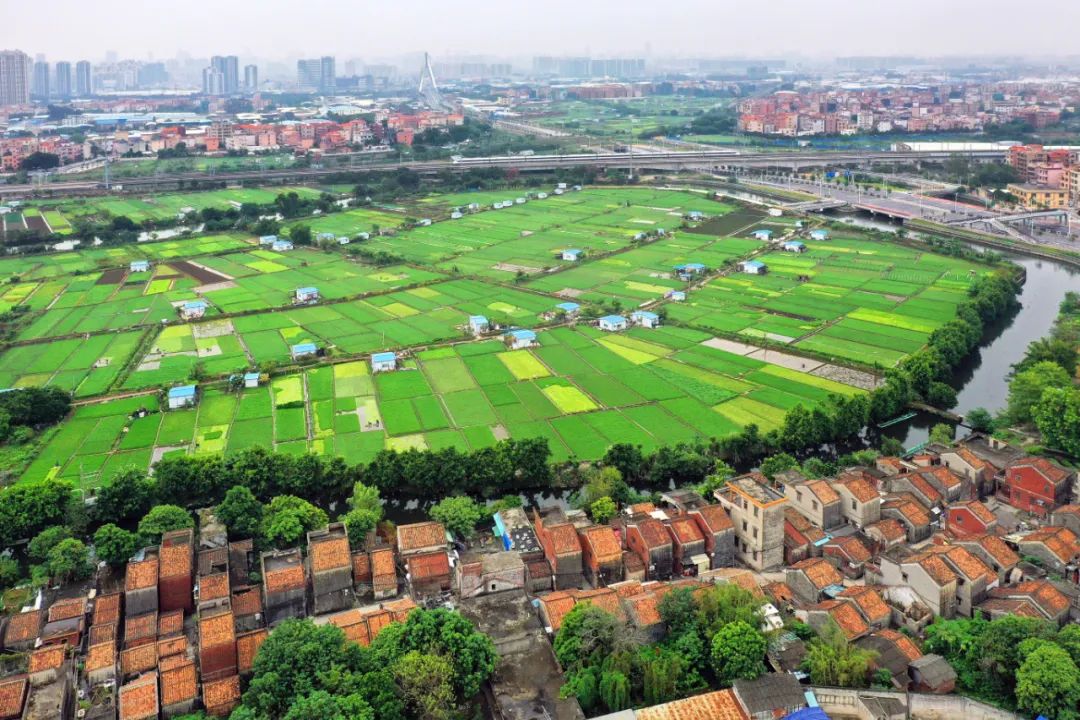 图懂大沥产兴城旺人和景美这就是大沥的乡村