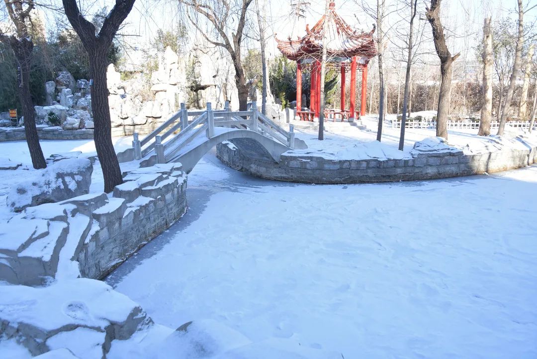 潍坊雪景图片