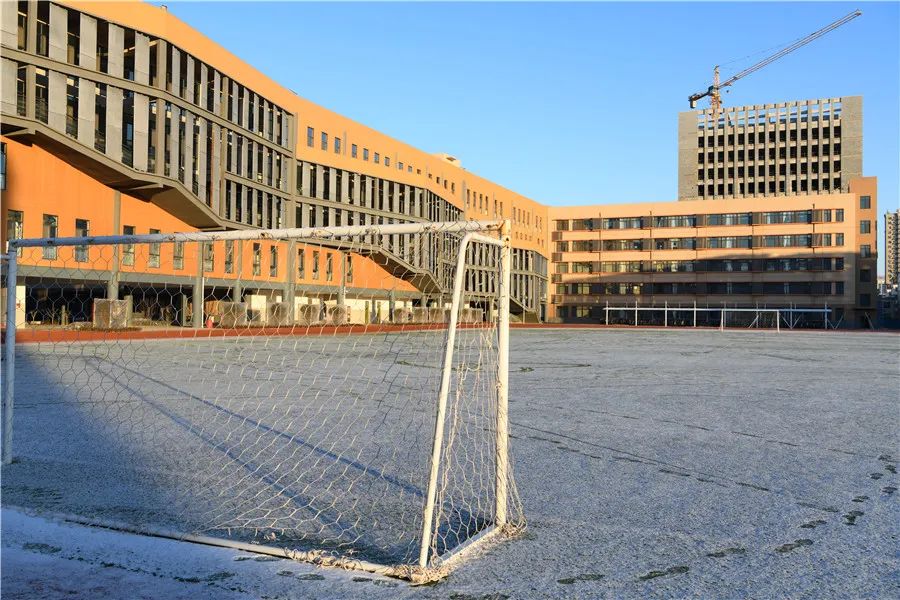 安丘市東埠中學壽光市聖城小學壽光市第一中學壽光市建橋學校山東師範