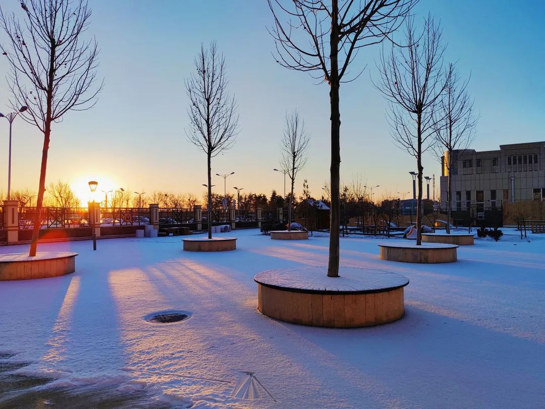 错过2022的初雪潍坊校园雪景安排上了有你的学校吗
