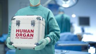 猪心脏首次移植入人体，未来人类器官移植要靠猪了？