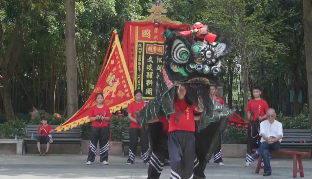 七星鼓点响湾区，他们是永远的雄狮