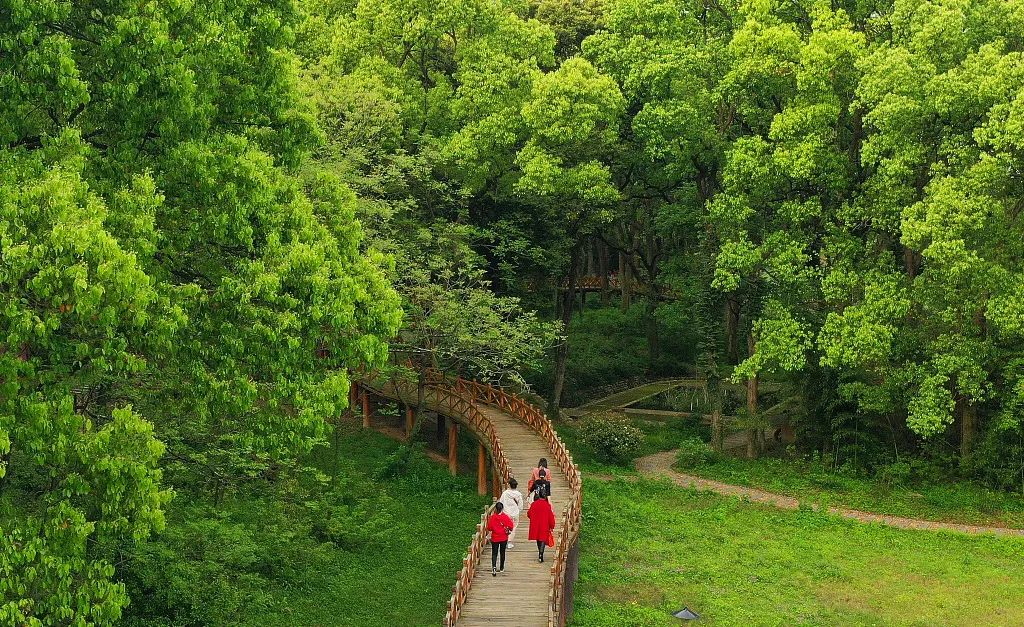 泰和滩尾景区图片图片