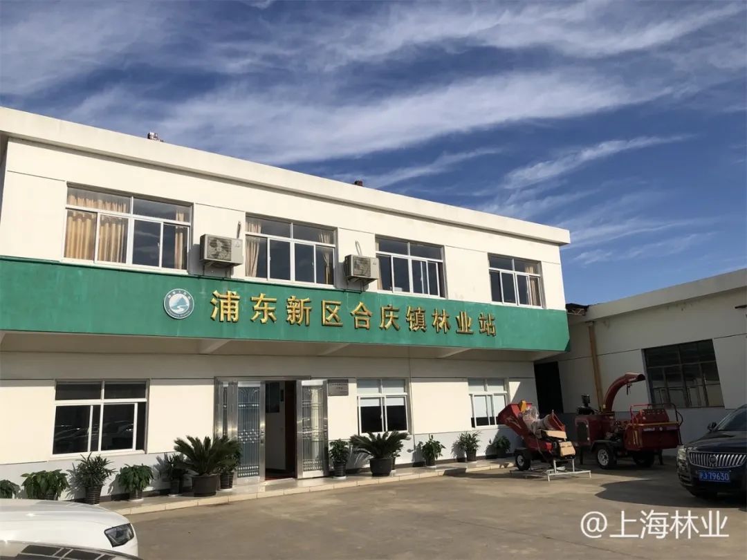 国家级标准化林业站长啥样?让这两个乡镇林业站告诉你