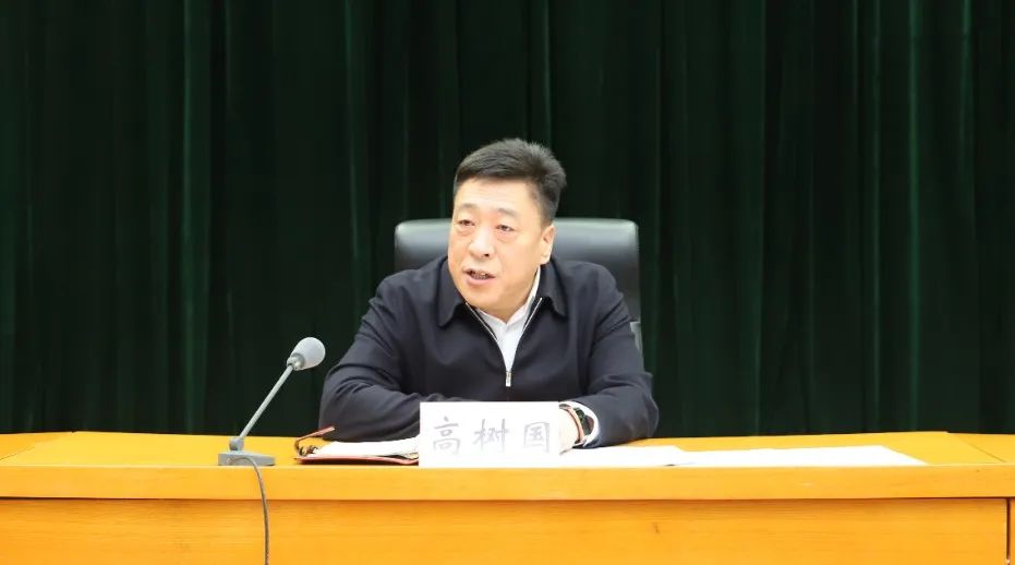 讲话,区委常委,区政府常务副区长王晓龙主持会议,副区长王平参加会议