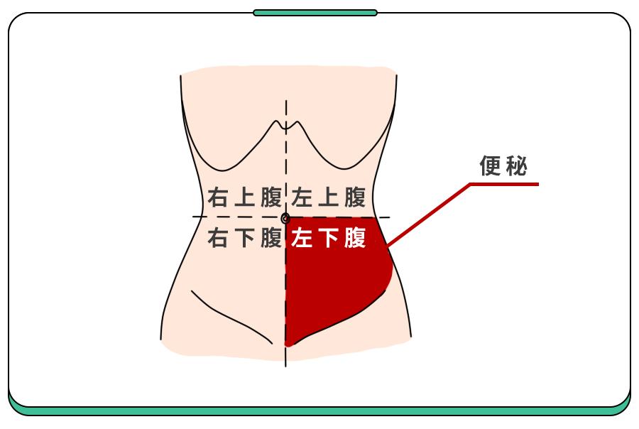 肚子左边部位图图片