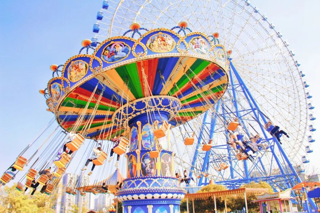 1月22日到酒城乐园去看迎春花卉展啦还有夜场等着你