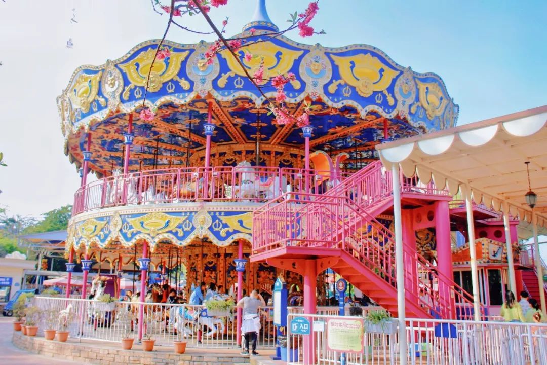 1月22日到酒城乐园去看迎春花卉展啦还有夜场等着你