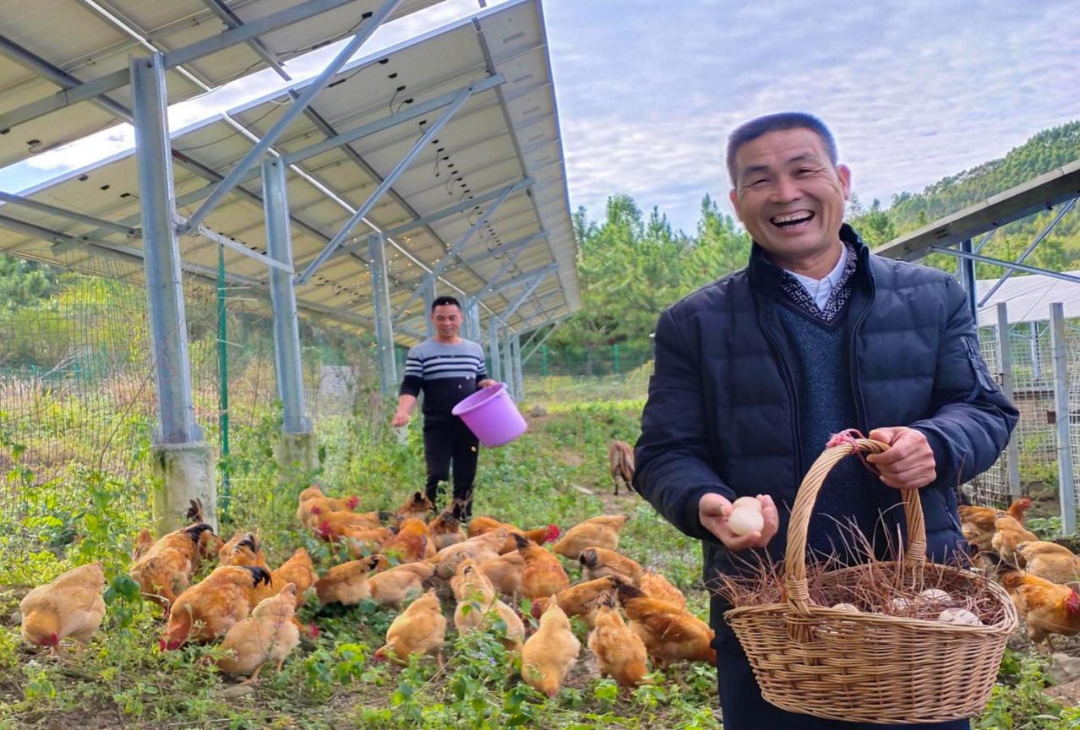 发展绿色能源广州发展韶关武江光伏电站唱响乡村振兴协奏曲