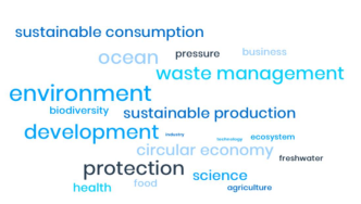 《联合国海洋垃圾及微塑料相关活动和倡议的概述》发布