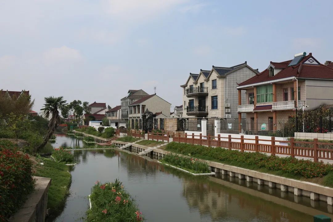 东海镇上海村图片
