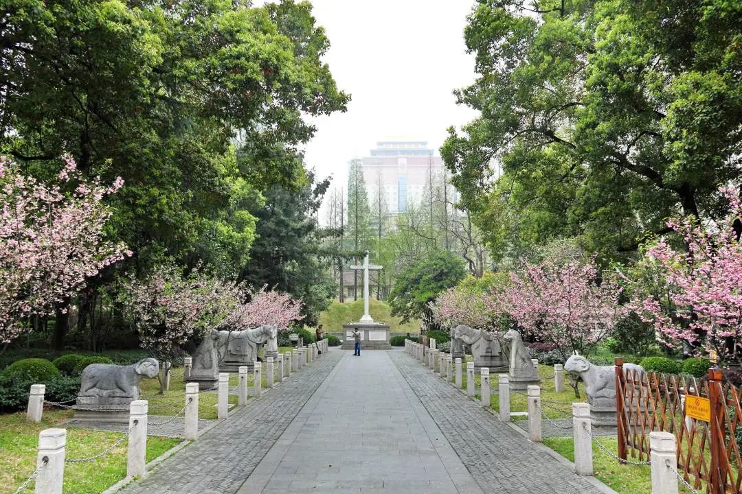 其他景點古銀杏及銀杏林,園內雕塑,睡蓮池徐光啟紀念雕塑光啟公園古