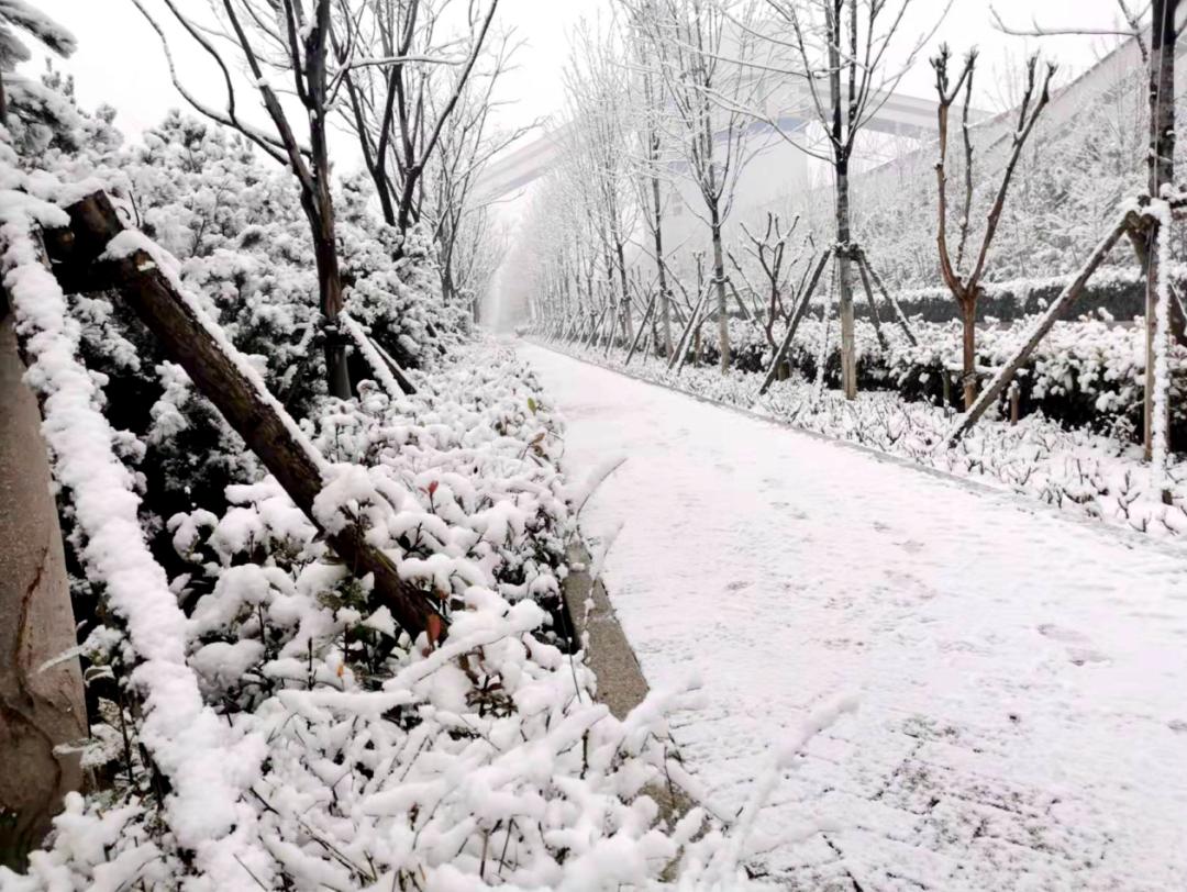 你那裡下雪了嗎