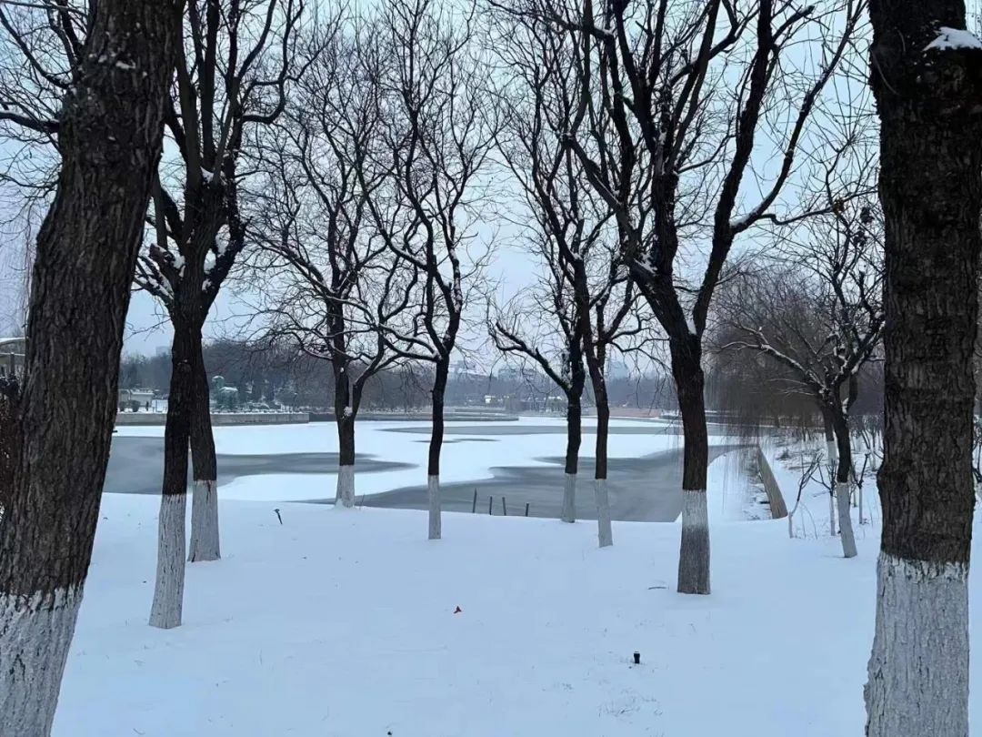 66張河北雪景圖第一張我就心動了