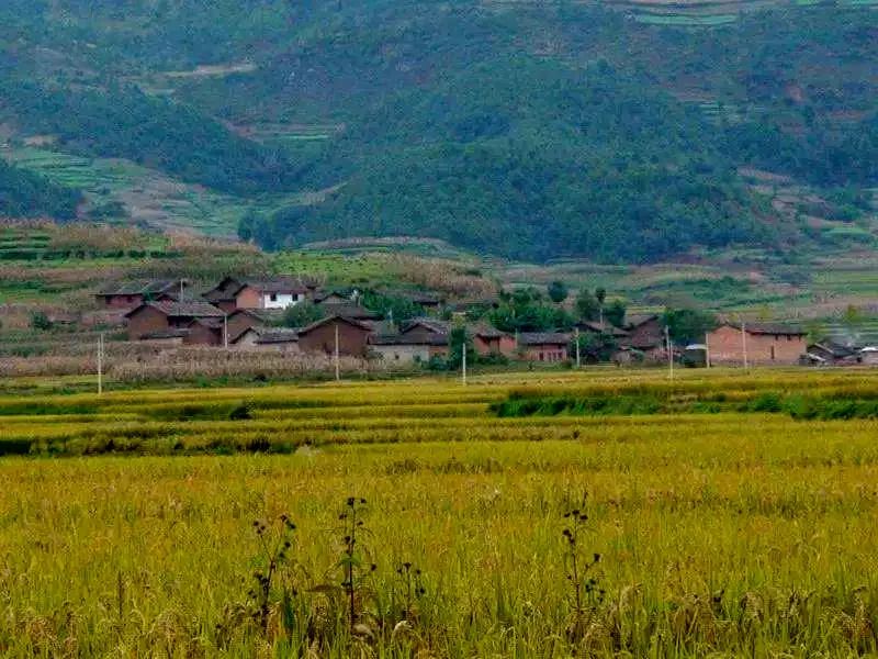 新春走基层风生水起新竹田