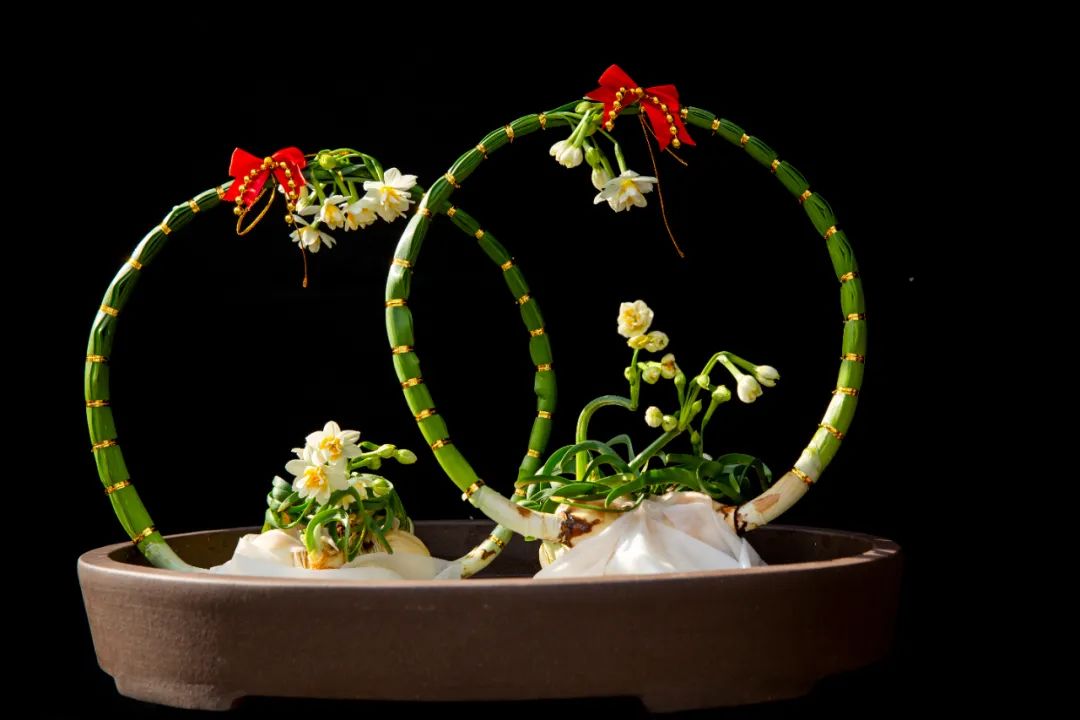 年味儿来了新春市民水仙花展暨水仙雕刻造型大赛登陆共青森林公园