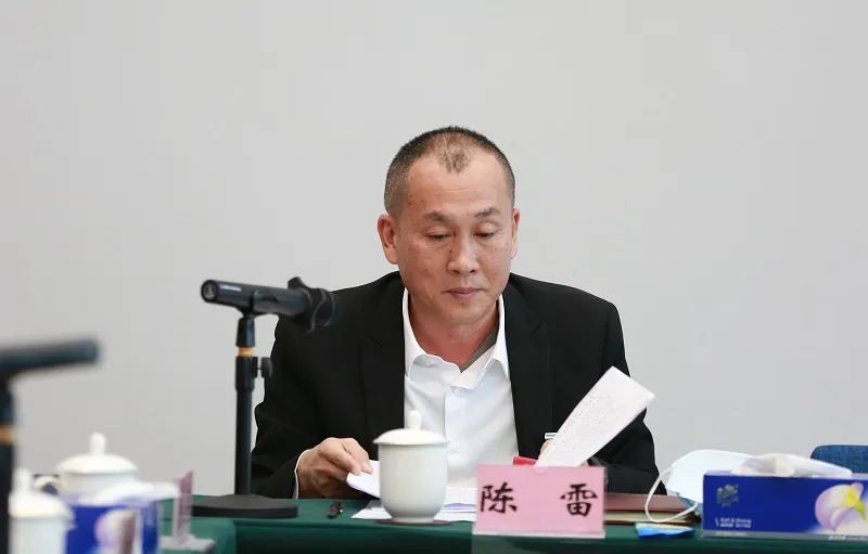 陵水代表团审议政府工作报告会场气氛热烈