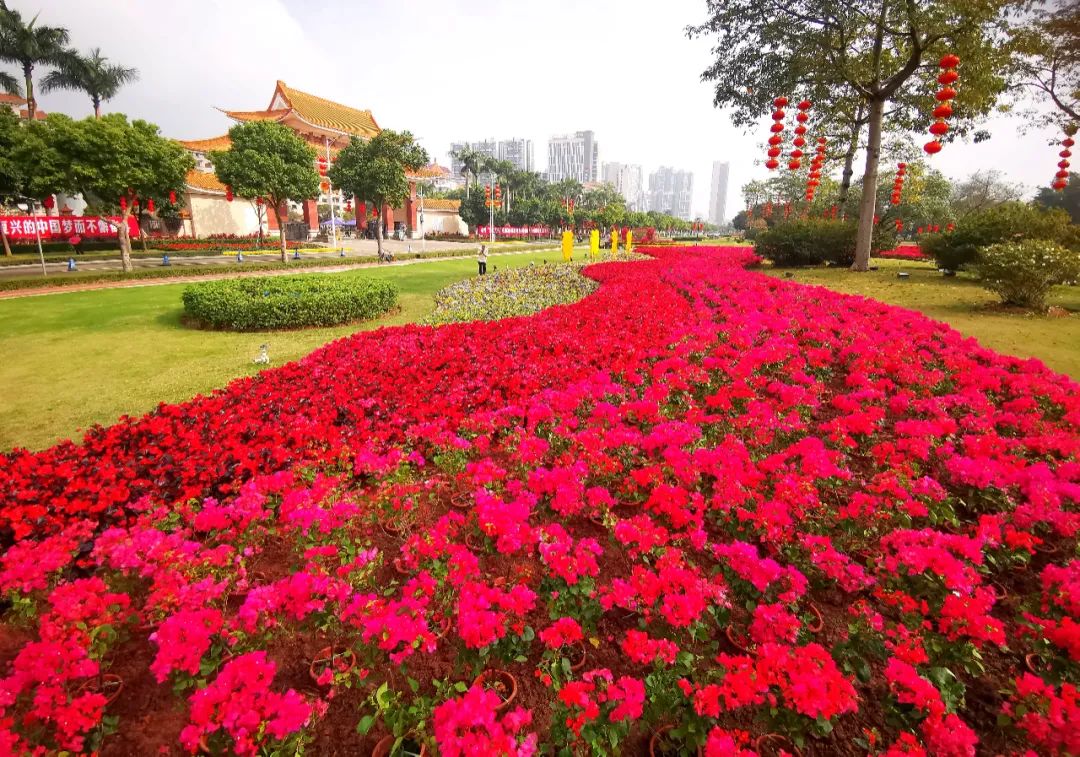 江海釜山公園,陳少白廣場,江門東站廣場,江南文化廣場,新會江門站