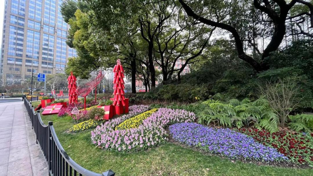 黄浦年味黄浦公园绿地换新装红红火火迎新年