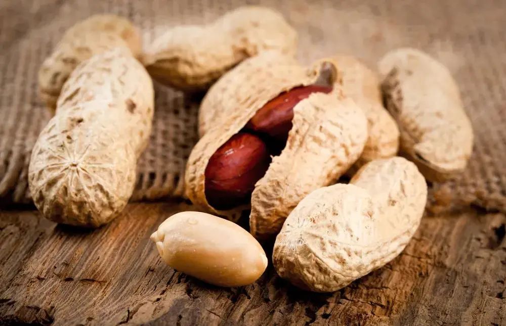 "麻屋子,红帐子,里面住着白胖子"这个谜语想必大家都不陌生,谜底也是