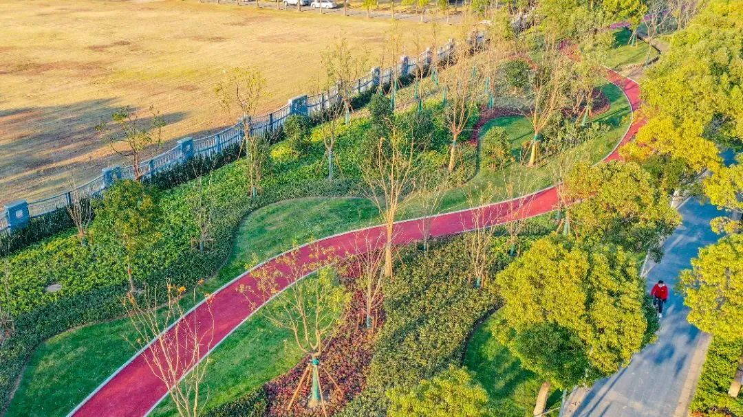 四时花开终年常绿临港新片区的这条绿带焕然一新
