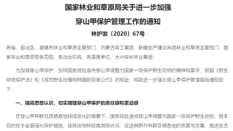 “穿山甲保护研究中心”神秘面纱何时能够揭开？ | 志愿者致电绿会穿山甲工作组