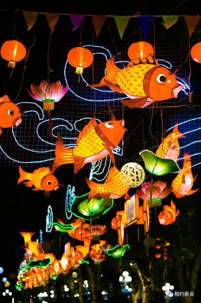 新会年味已上线