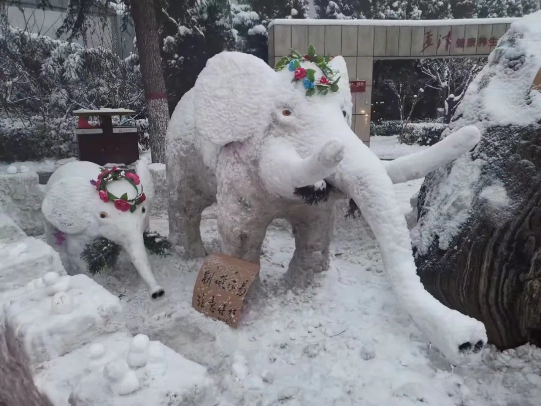 可派上用场了父子齐上阵,塑造大老虎看看咱孟津人的雪中创意!
