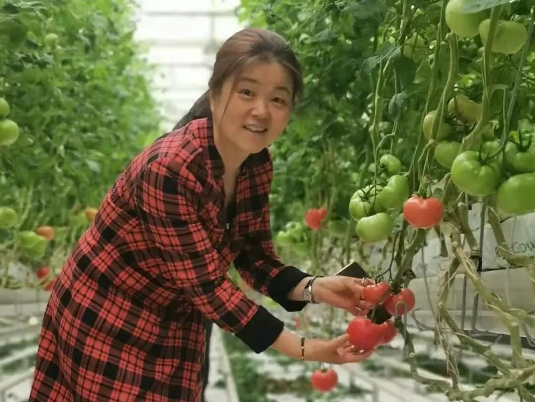 民革党员刘小宁被评为粮食增产保供成绩突出个人