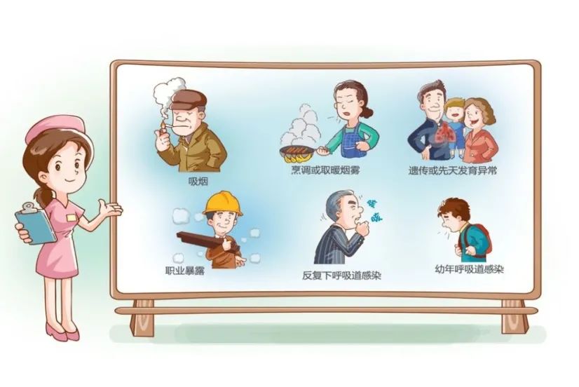 浦公英慢阻肺药知道