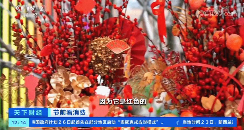 杜鹃花市场批发价格多少