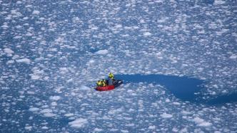 南极渔业管理如何应对气候挑战