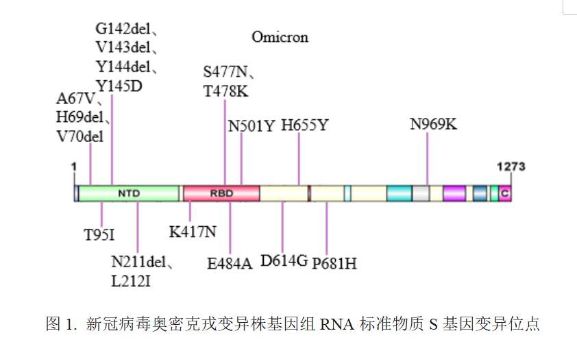 奥密克戎病毒基因图片