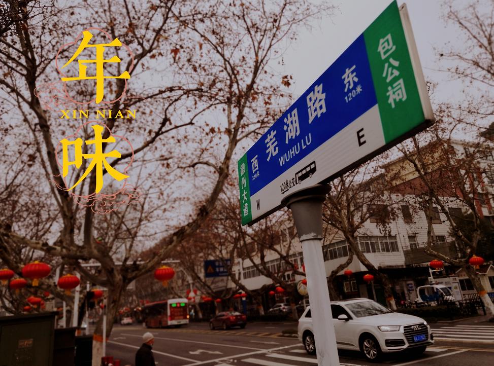 芜湖路落落梧桐树是乡愁的灯塔