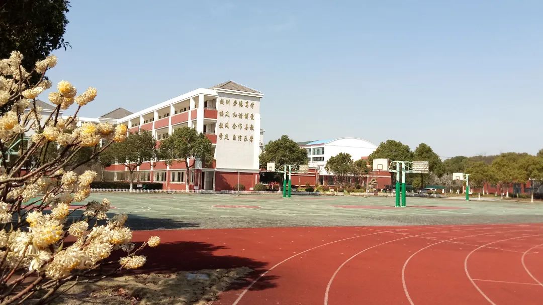 奉贤区西渡小学学校以"绿色,健康,快乐,和谐"为办园理念,做实幼儿环保