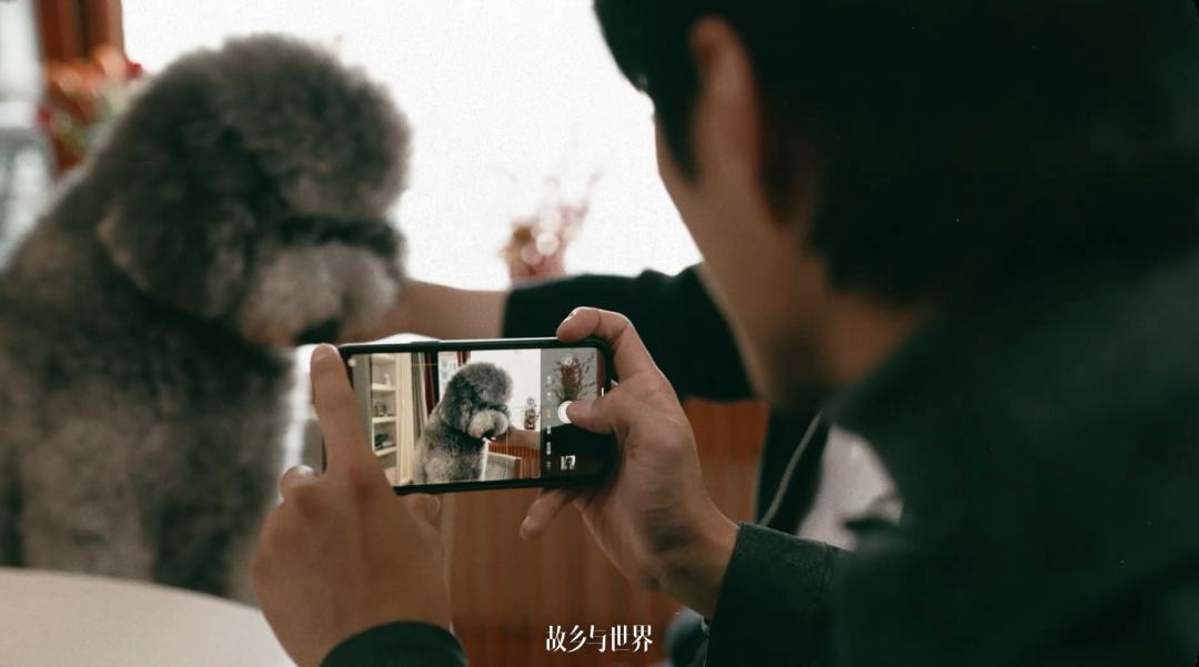 在好朋友家中才是放松的状态,聊聊装潢,宠物,拍照记录下美好瞬间.