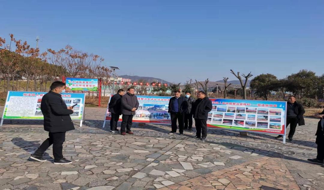 县区动态 内乡县 实施 六大行动 整治农村人居环境