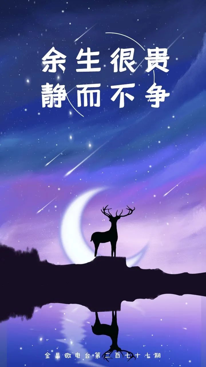 金昌微电台第二百七十七期丨余生很贵 静而不争_澎湃号·媒体_澎湃