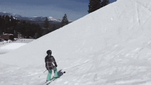 447.gif